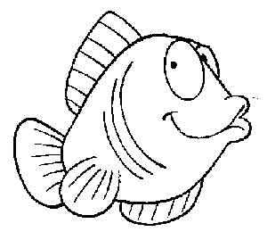 le window color ou WICO Poisson33
